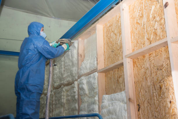 Best Best Insulation Companies  in Middle Valley, TN